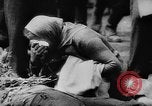 Standbild polnische getötet Lublin Polen, 1945, aus Sekunde 55 historischem Filmmaterial Videoclip 65675056699