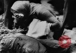 Standbild polnische getötet Lublin Polen, 1945, aus Sekunde 56 historischem Filmmaterial Videoclip 65675056699