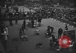 Standbild 69 jährlichen Dog Show New York United States USA, 1945, aus Sekunde 9 historischem Filmmaterial Videoclip 65675056701