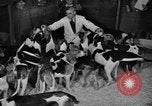 Standbild 69 jährlichen Dog Show New York United States USA, 1945, aus Sekunde 17 historischem Filmmaterial Videoclip 65675056701