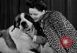 Standbild 69 jährlichen Dog Show New York United States USA, 1945, aus Sekunde 23 historischem Filmmaterial Videoclip 65675056701