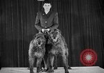 Standbild 69 jährlichen Dog Show New York United States USA, 1945, aus Sekunde 36 historischem Filmmaterial Videoclip 65675056701