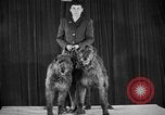 Standbild 69 jährlichen Dog Show New York United States USA, 1945, aus Sekunde 37 historischem Filmmaterial Videoclip 65675056701