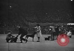 Standbild 69 jährlichen Dog Show New York United States USA, 1945, aus Sekunde 50 historischem Filmmaterial Videoclip 65675056701