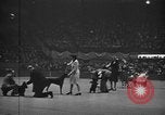 Standbild 69 jährlichen Dog Show New York United States USA, 1945, aus Sekunde 52 historischem Filmmaterial Videoclip 65675056701