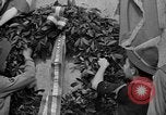 Standbild National Scout Woche New York United States USA, 1945, aus Sekunde 23 historischem Filmmaterial Videoclip 65675056702