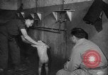 Standbild kleine chinesische angenommen China, 1945, aus Sekunde 20 historischem Filmmaterial Videoclip 65675056703