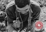 Immagine di Inizio guerra coreana scene La Germania est, 1953, secondo 15 filmato di repertorio 65675056708