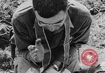 Immagine di Inizio guerra coreana scene La Germania est, 1953, secondo 16 filmato di repertorio 65675056708