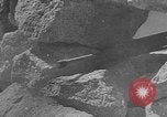 Image révolution en Hongrie Budapest Hongrie, 1956, de la seconde 21 séquences d'archives historiques vidéo 65675056714