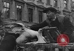 Image révolution en Hongrie Budapest Hongrie, 1956, de la seconde 52 séquences d'archives historiques vidéo 65675056715