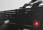 Image révolution en Hongrie Budapest Hongrie, 1956, de la seconde 34 séquences d'archives historiques vidéo 65675056717