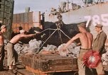 Image of Marine soldiers Iwo Jima, 1945, second 47 stock footage video 65675056720