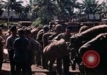 Image of Marines soldiers Iwo Jima, 1945, second 48 stock footage video 65675056721