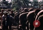 Image of Marines soldiers Iwo Jima, 1945, second 54 stock footage video 65675056721