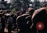 Image of Marines soldiers Iwo Jima, 1945, second 55 stock footage video 65675056721