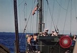 Image of Marines soldiers Iwo Jima, 1945, second 3 stock footage video 65675056723