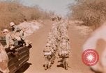 Image of Wounded marines carried to Higgins boats Iwo Jima, 1945, second 23 stock footage video 65675056725