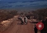 Image of Wounded marines carried to Higgins boats Iwo Jima, 1945, second 24 stock footage video 65675056725