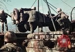 Image of Wounded marines carried to Higgins boats Iwo Jima, 1945, second 41 stock footage video 65675056725