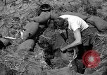 Image of Philippine invasion Philippines, 1945, second 3 stock footage video 65675056731