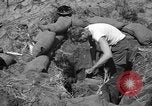 Image of Philippine invasion Philippines, 1945, second 4 stock footage video 65675056731