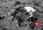 Image of Philippine invasion Philippines, 1945, second 5 stock footage video 65675056731
