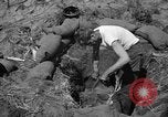 Image of Philippine invasion Philippines, 1945, second 6 stock footage video 65675056731