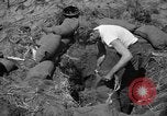 Image of Philippine invasion Philippines, 1945, second 7 stock footage video 65675056731