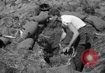 Image of Philippine invasion Philippines, 1945, second 8 stock footage video 65675056731