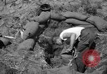 Image of Philippine invasion Philippines, 1945, second 9 stock footage video 65675056731