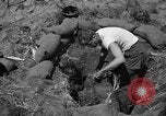 Image of Philippine invasion Philippines, 1945, second 11 stock footage video 65675056731