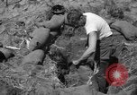 Image of Philippine invasion Philippines, 1945, second 12 stock footage video 65675056731
