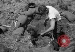 Image of Philippine invasion Philippines, 1945, second 13 stock footage video 65675056731