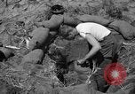 Image of Philippine invasion Philippines, 1945, second 14 stock footage video 65675056731