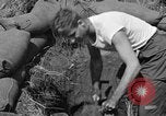 Image of Philippine invasion Philippines, 1945, second 18 stock footage video 65675056731