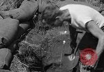 Image of Philippine invasion Philippines, 1945, second 19 stock footage video 65675056731