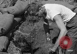 Image of Philippine invasion Philippines, 1945, second 22 stock footage video 65675056731
