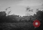 Image of United States Marines Pacific Theater, 1945, second 7 stock footage video 65675056732