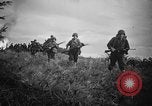 Image of United States Marines Pacific Theater, 1945, second 21 stock footage video 65675056732