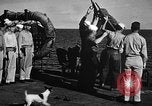 Image of United States Navy Pacific Ocean, 1945, second 31 stock footage video 65675056733