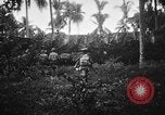 Image of United States Navy Pacific Theater, 1945, second 12 stock footage video 65675056736