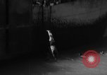 Standbild Peleliu Invasion Peleliu Palau Inseln, 1944, aus Sekunde 13 historischem Filmmaterial Videoclip 65675056740