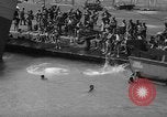 Standbild Peleliu Invasion Peleliu Palau Inseln, 1944, aus Sekunde 29 historischem Filmmaterial Videoclip 65675056740