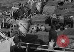 Standbild Peleliu Invasion Peleliu Palau Inseln, 1944, aus Sekunde 37 historischem Filmmaterial Videoclip 65675056740