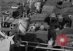 Standbild Peleliu Invasion Peleliu Palau Inseln, 1944, aus Sekunde 39 historischem Filmmaterial Videoclip 65675056740