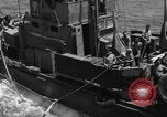 Standbild Peleliu Invasion Peleliu Palau Inseln, 1944, aus Sekunde 33 historischem Filmmaterial Videoclip 65675056741
