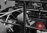 Standbild Peleliu Invasion Peleliu Palau Inseln, 1944, aus Sekunde 58 historischem Filmmaterial Videoclip 65675056741