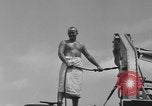 Standbild König Neptun Equator-Kreuzung Zeremonien Pazifik, 1944, aus Sekunde 22 historischem Filmmaterial Videoclip 65675056742