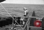 Standbild Peleliu Invasion Peleliu Palau Inseln, 1944, aus Sekunde 20 historischem Filmmaterial Videoclip 65675056743